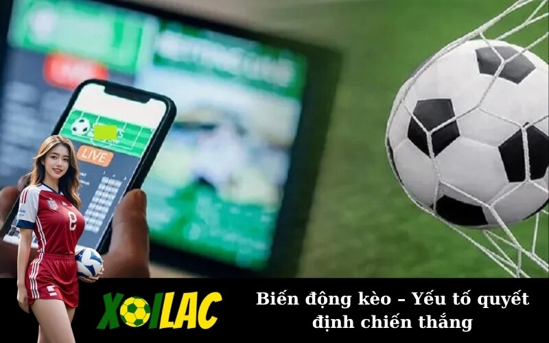Biến động kèo – Yếu tố quyết định chiến thắng