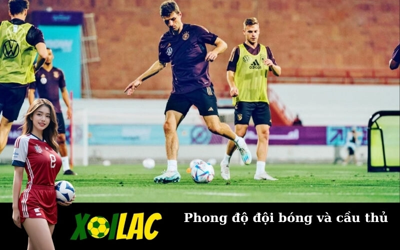 Phong độ đội bóng và cầu thủ